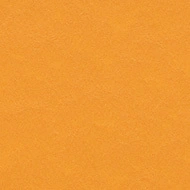 t3354 pumpkin yellow