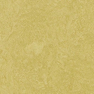 Marmoleum Fresco 3259 mustard