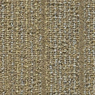 Tessera Contour  1913 fresh leaves