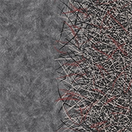 Flotex created by Starck 312002 Vortex ruby A2