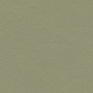 Marmoleum Decibel  335535 rosemary green