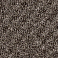 Tessera Chroma 3611 treacle