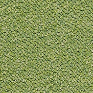Tessera Chroma 3617 botanical