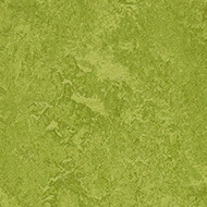Marmoleum Decibel on order  324735 green