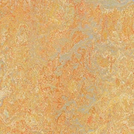Marmoleum Decibel on order  341135 sunny day