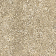Marmoleum Decibel on order  323435 forest ground