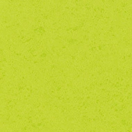 248UP4319 lime green canyon