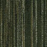 Coral Interior 1518 rain forest