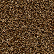 Coral Brush tiles 5716 masala brown