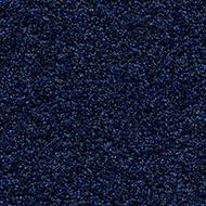 Coral Bright 2607 deep water
