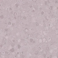 Sphera Element 50070 soft violet