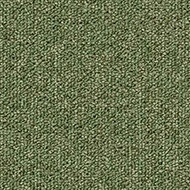 Tessera Basis Pro 4201 sage