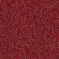 Tessera Basis Pro 4205 chilli