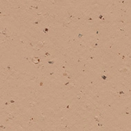 Marmoleum Decibel on order  359235 salted caramel