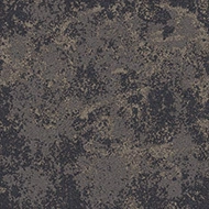 Coral Move Vision FR 88941FR Landscape pumice