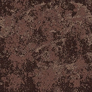 Coral Move Vision FR 88946FR Landscape terracotta