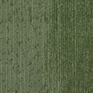 플로텍스 래티튜드 t302001 Latitude juniper