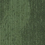 플로텍스 래티튜드 t302003 Latitude cypress
