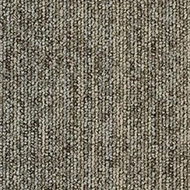 Tessera Basis Pro Phase planks 4810 planet