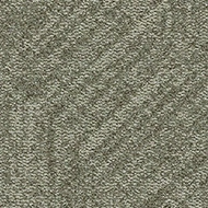 Tessera Topology 4909 mossy base