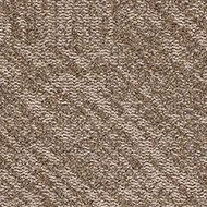 Tessera Topology 4910 bronze arc