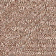 Tessera Topology 4911 clay sector