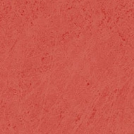 Sarlon Primeo Compact Graphic & Colour 7636P43C nuance ruby