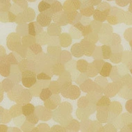 90703UP4319 champagne halo