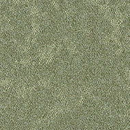 Tessera Tranquillity 5107 chilled chive