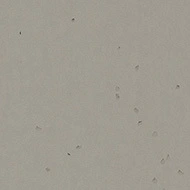 Sphera Energetic 50258 elephant