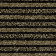 Coral FR - Trains 9204FR Sahara dunes