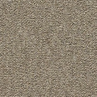 Tessera Layout & Outline 2134 flax