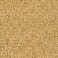 Tessera Layout & Outline 2137 honey