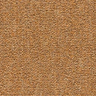 Tessera Layout & Outline 2139 amber