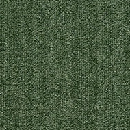 Tessera Layout & Outline 2150 spruce