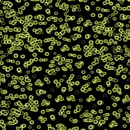 Flotex Sottsass
