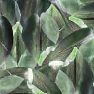 001589FR Tulip Field Green