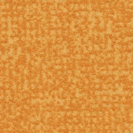 Flotex Colour FR  246036FR Metro gold