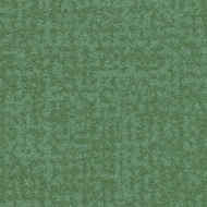 Flotex Colour FR  246037FR Metro apple