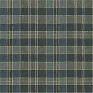 Flotex Vision FR  590023FR Plaid Fern
